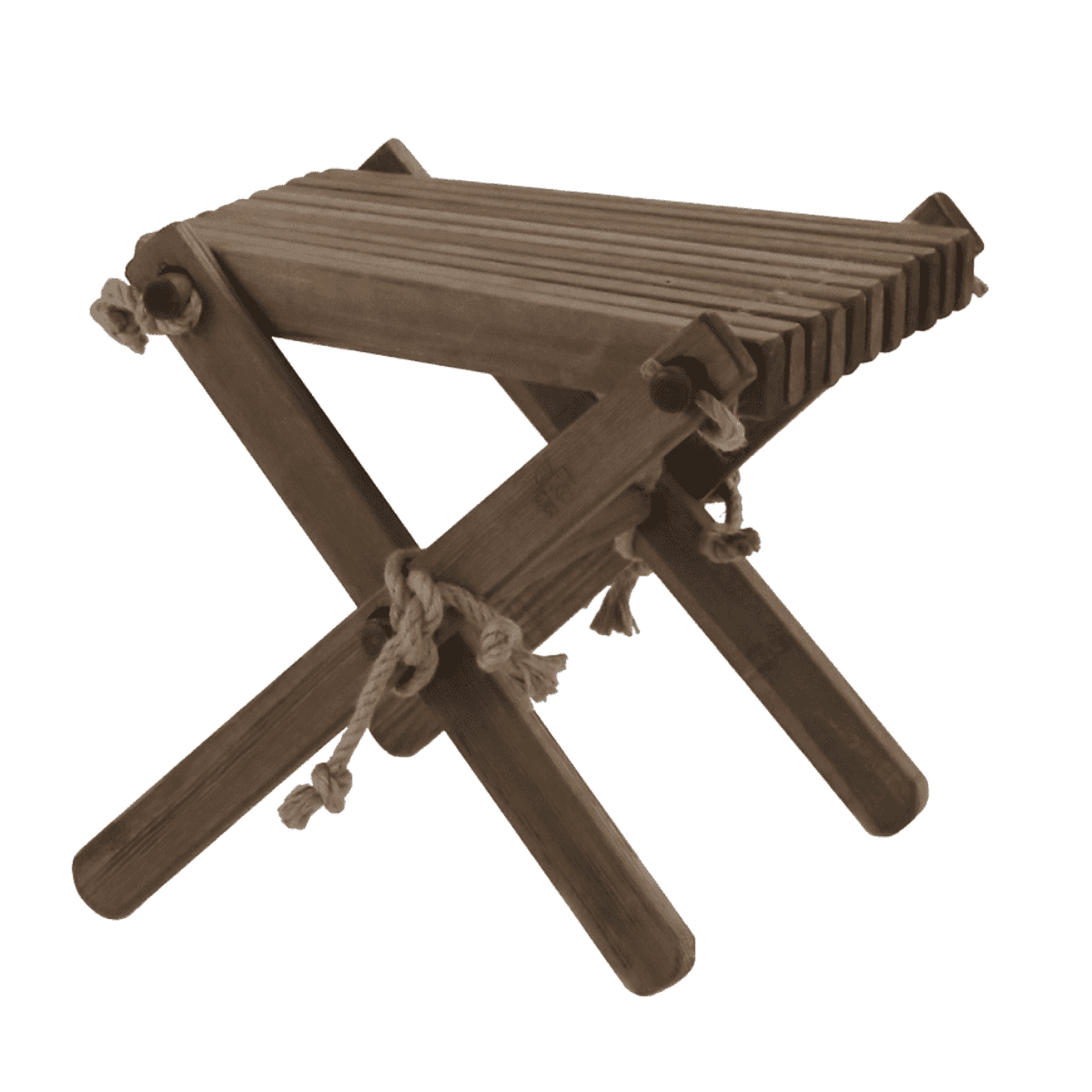 Stolička borovice hnědá