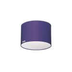Lusito_svitidlo_stropni_valec_25x20cm_tmave_fialova_072