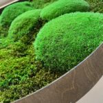 mechovy_obraz_detail
