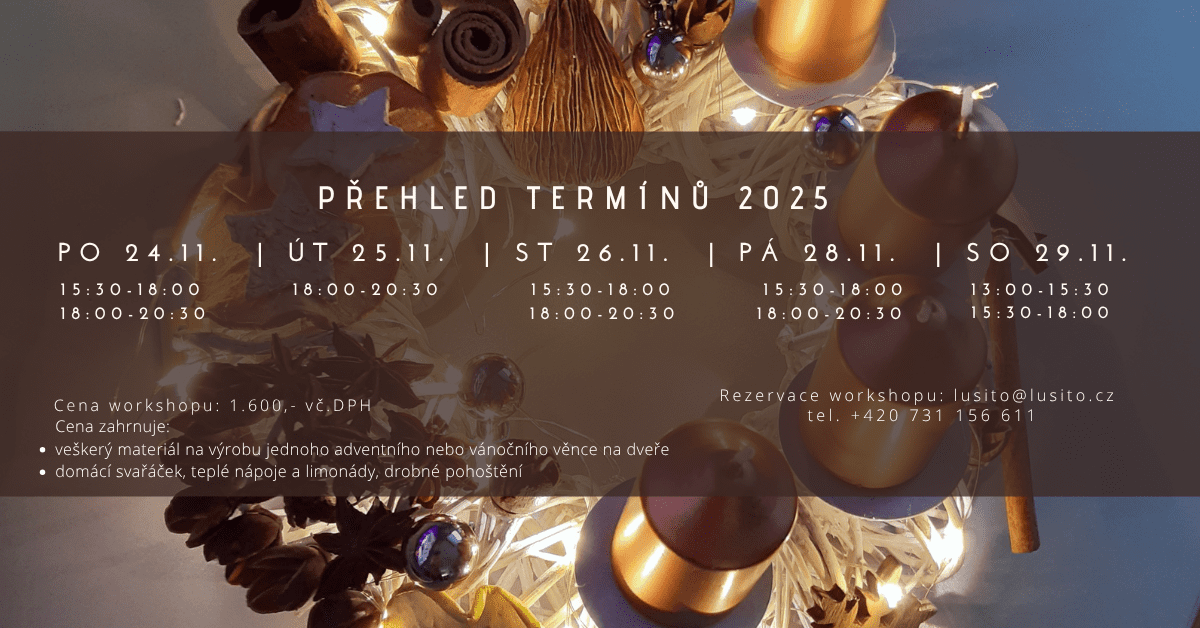 Termín: Pondělí 24.11.