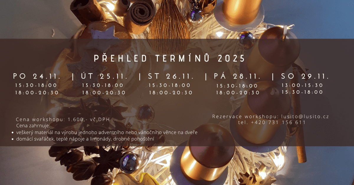 Termín: Pondělí 24.11.